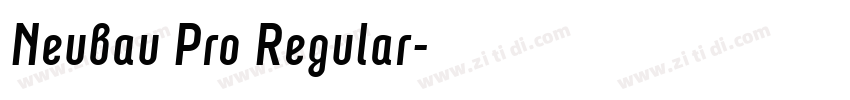 Neubau Pro Regular字体转换